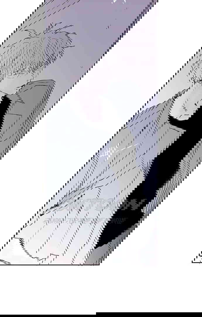 17303331699460sa8verxwz5.jpg