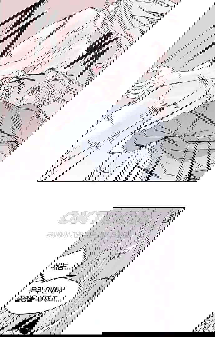 1730333531451czugnhw2hkt.jpg