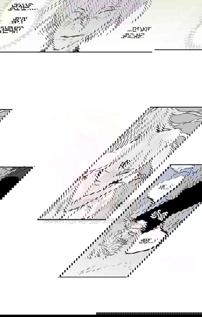 1730333532527fs5omib6w64.jpg