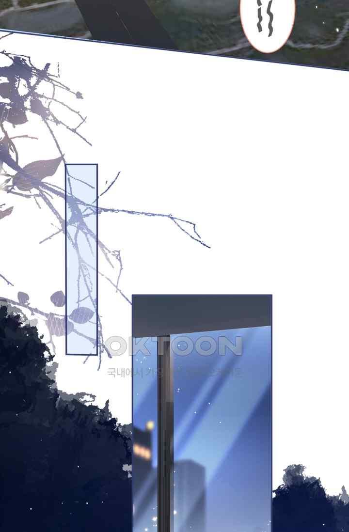 1731647752207hogrc9ksgza.jpg