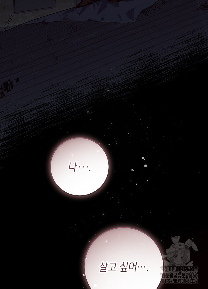 1733004155499hnupxg9j34j.jpg