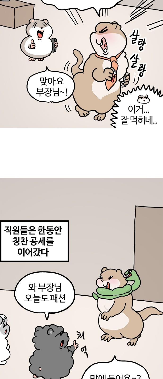 173352832647066libvbhe4u.jpg