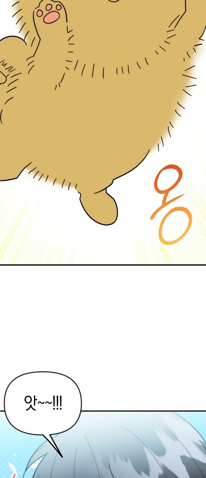 1733527007179ycqzxa5iij.jpg