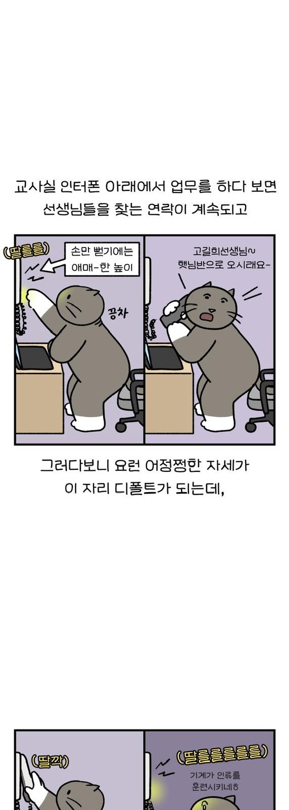 1739145794041bj3w7u2rqe.jpg