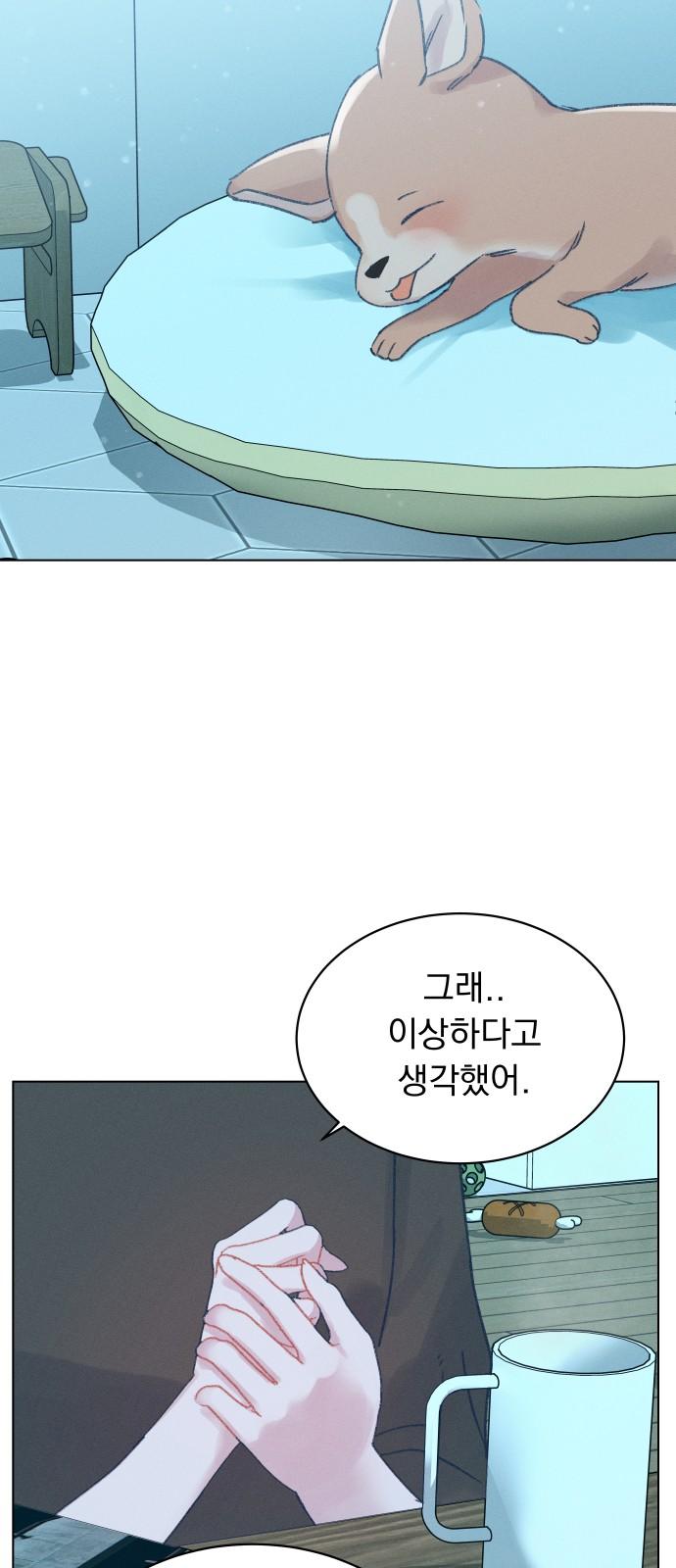 17406069070628c4fzy3awhy.jpg
