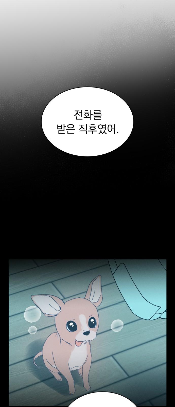 17406069075124p2rm5ur8no.jpg