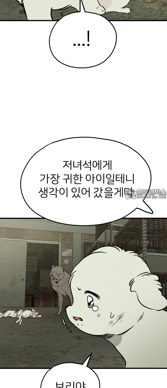 1742181268840zqa5klwm8nl.jpg