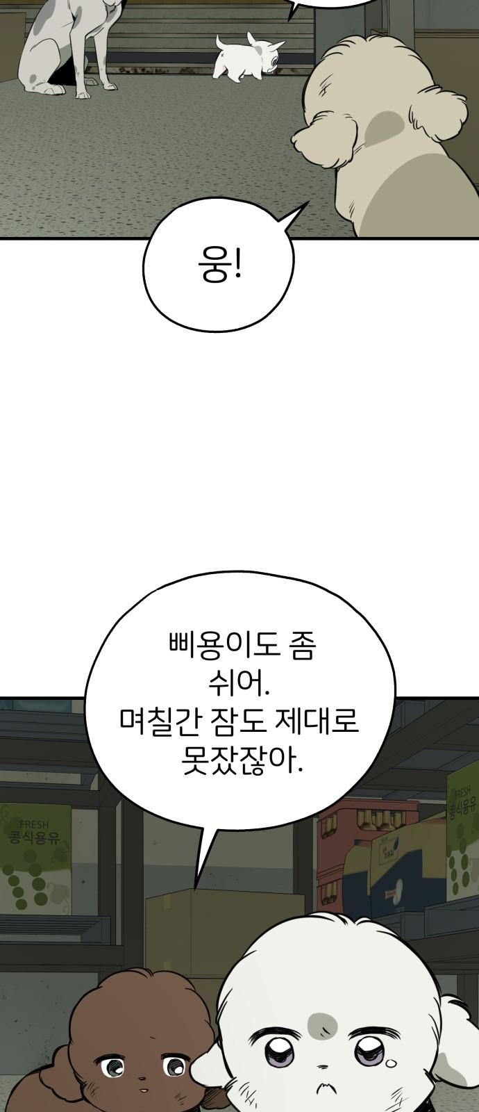1742181280132zakiw9cavn8.jpg