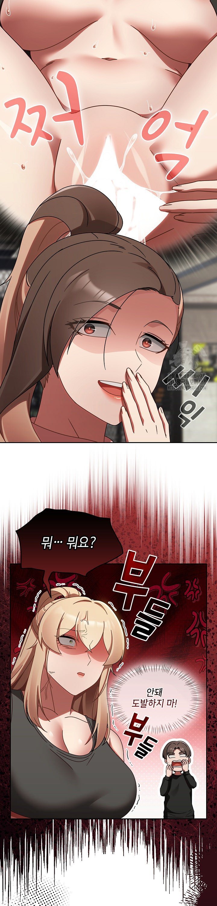 1743292708892diz7o7eilfb.jpg