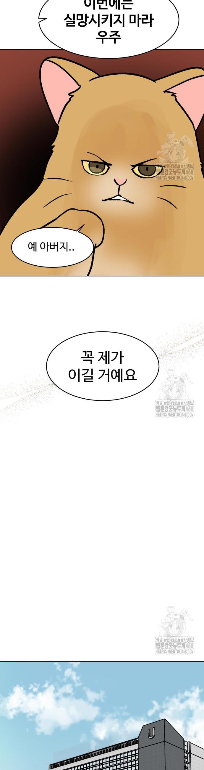 1744410223807ivdvjb7fuzn.jpg
