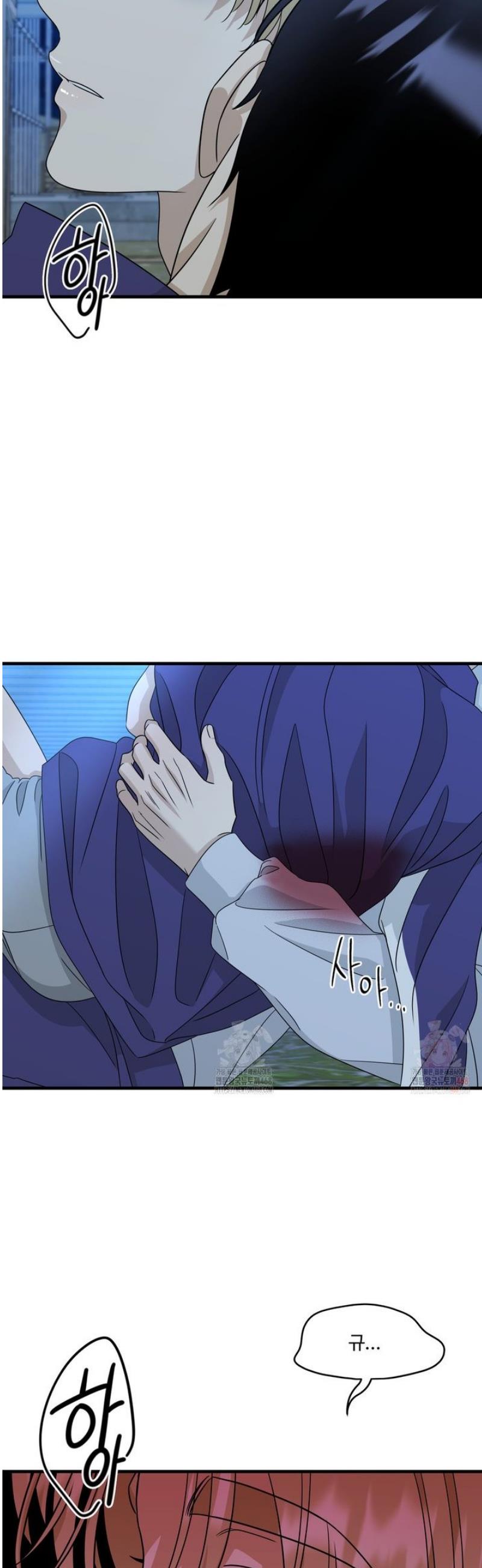 174710269330425igv7yie8b.jpg