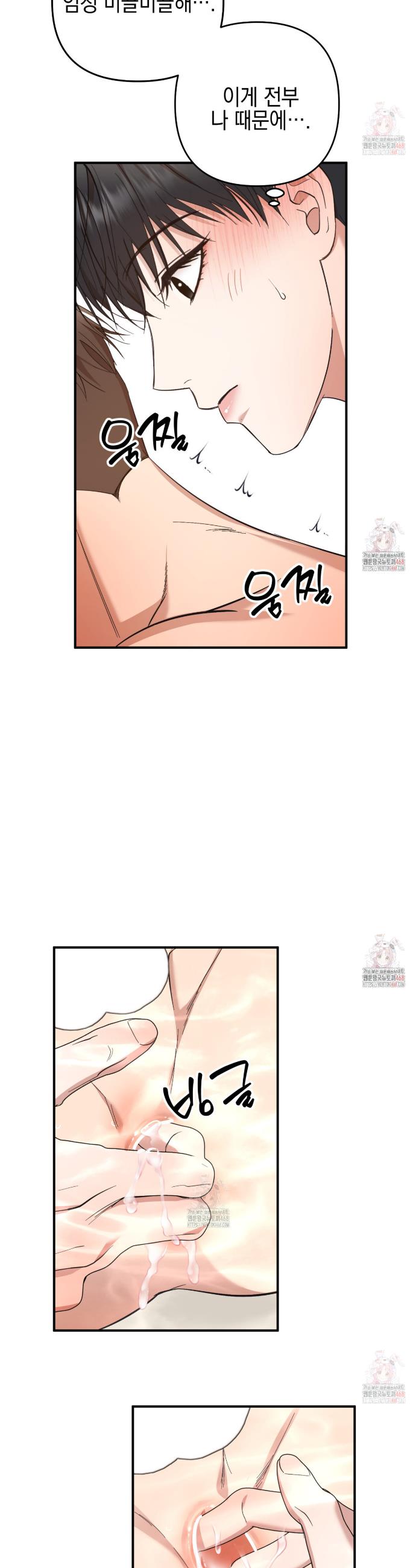 006.jpg