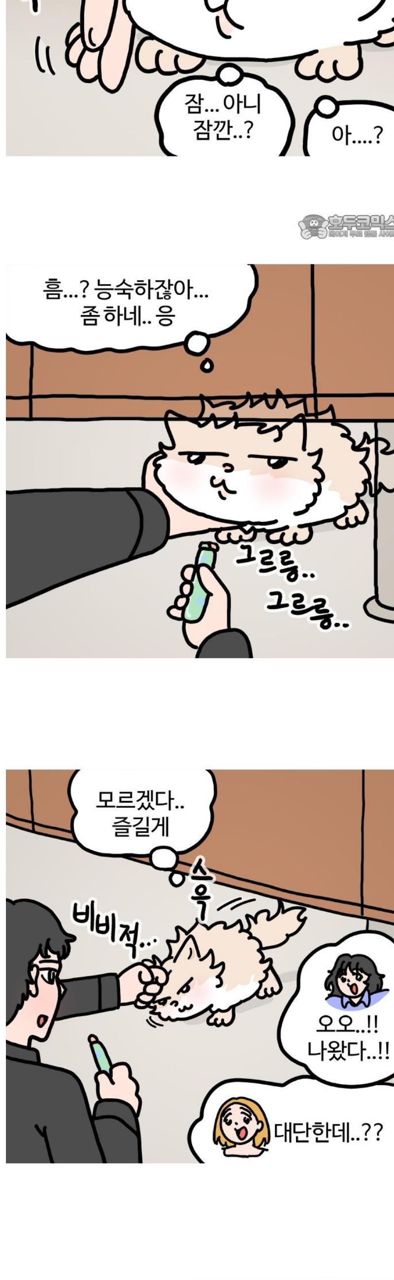 002.jpg